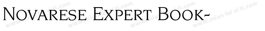 Novarese Expert Book字体转换